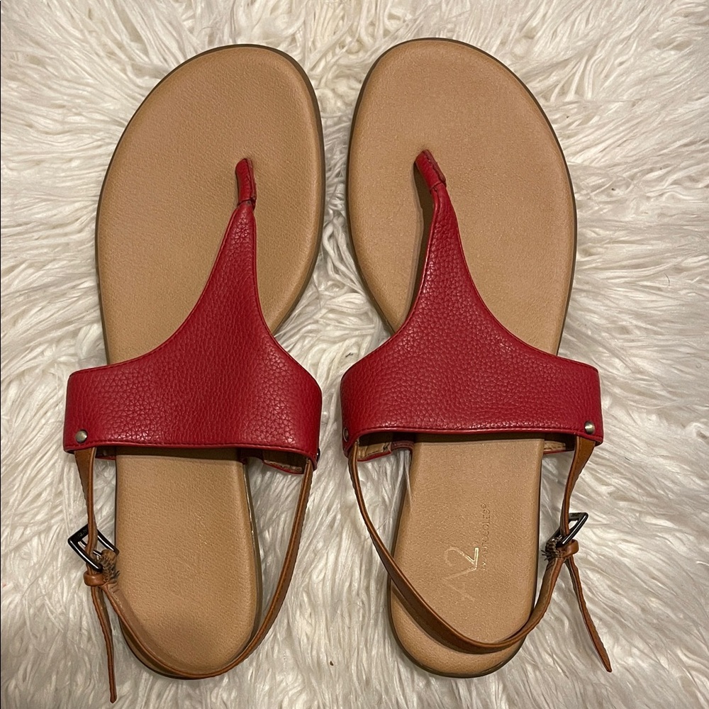 AEROSOLES Red and Brown Sandals